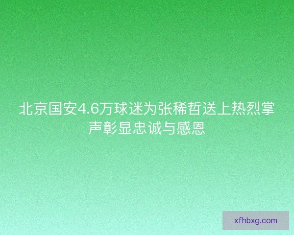 北京国安4.6万球迷为张稀哲送上热烈掌声彰显忠诚与感恩 北京国安4.6万球迷为张稀哲送上热烈掌声彰显忠诚与感恩