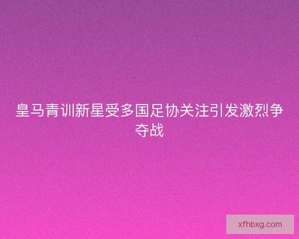 皇马青训新星受多国足协关注引发激烈争夺战 皇马青训新星受多国足协关注引发激烈争夺战