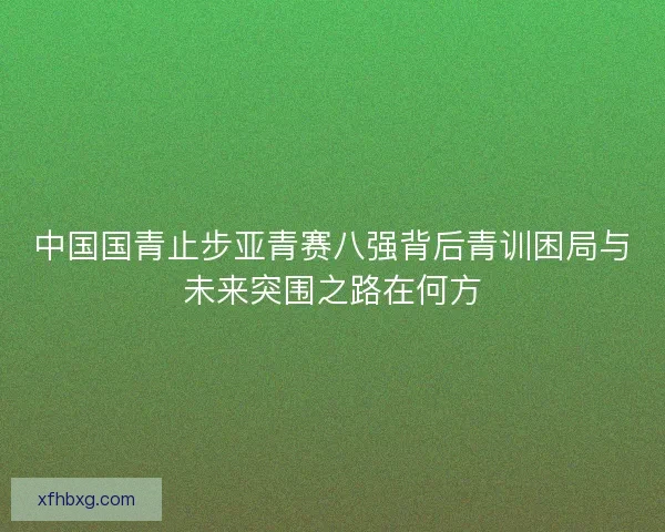 中国国青止步亚青赛八强背后青训困局与未来突围之路在何方